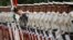 Japanese honor guard members prepare for inspection bythe Indian Defense Minister Arun Jaitley at the Defense Ministry in Tokyo Tuesday, Sept. 5, 2017. 