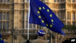 FILE - A pro-Europe demonstrator holds a flag outside the Houses of Parliament in London, Jan. 8, 2019.