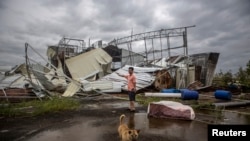 A dog walks past as a man stands in front of a factory building which was destroyed by Typhoon Rammasun, in Leizhou, Guangdong province, China, July 19, 2014.