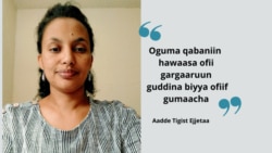 Oguma Qabaniin Hawaasa Ofii Gargaaruun Guddina Biyya Ofiif Gumaacha: Aadde Tigist Ejjetaa