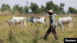 Mkulima kutoka kabila la Fulani nchini Mali