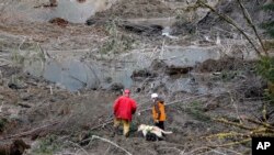 救援人員與搜索犬在泥石流災場搜索失蹤者