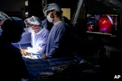 Dr. Sunil Singhal, second from right, directs a special camera to view a tumor in his patient made visible with a fluorescent dye, seen at monitor on right, at the Hospital of the University of Pennsylvania in Philadelphia, Tuesday, Jan. 23, 2018