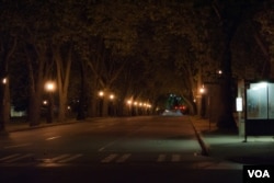 Empty Memorial Way at University of Washington, by Jon Fowler