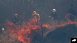 Policía y bomberos combaten las llamas en el bosque de Chiquitanía, en las afueras de Roboré, Bolivia, 30 de agosto de 2019. (AP Foto/Juan Karita)