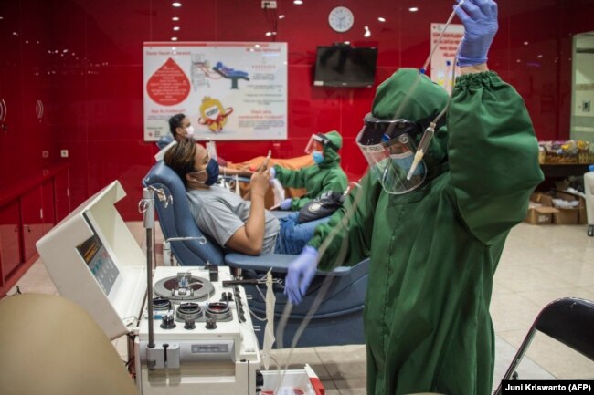 Seorang petugas kesehatan mengoperasikan alat untuk mengumpulkan plasma dari para penyintas COVID-19 di kantor Palang Merah Indonesia di Surabaya, Jawa Timur, 18 September 2020. (Foto: Juni Kriswanto/AFP)