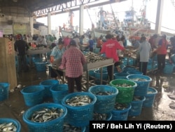 Migrant workers sort fish and seafood at a port in Samut Sakhon, Thailand, March 25, 2018.