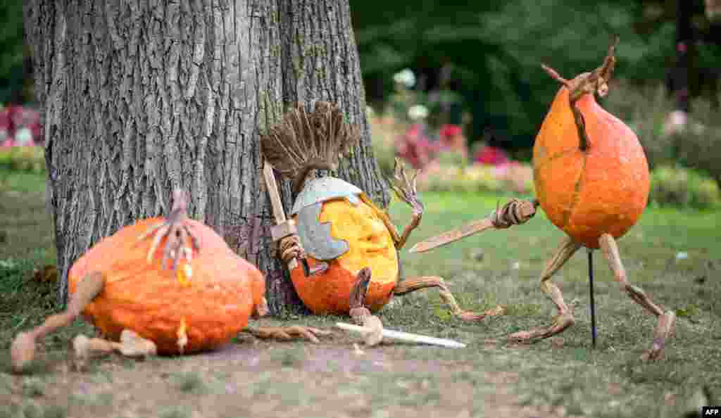 Carved pumpkins designed by U.S. artist Ray Villafane are pictured during an exhibition in Ludwigsburg, southern Germany.