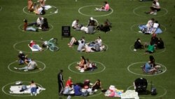 Warga di Kota New York berjemur di taman mengikuti aturan social distancing.