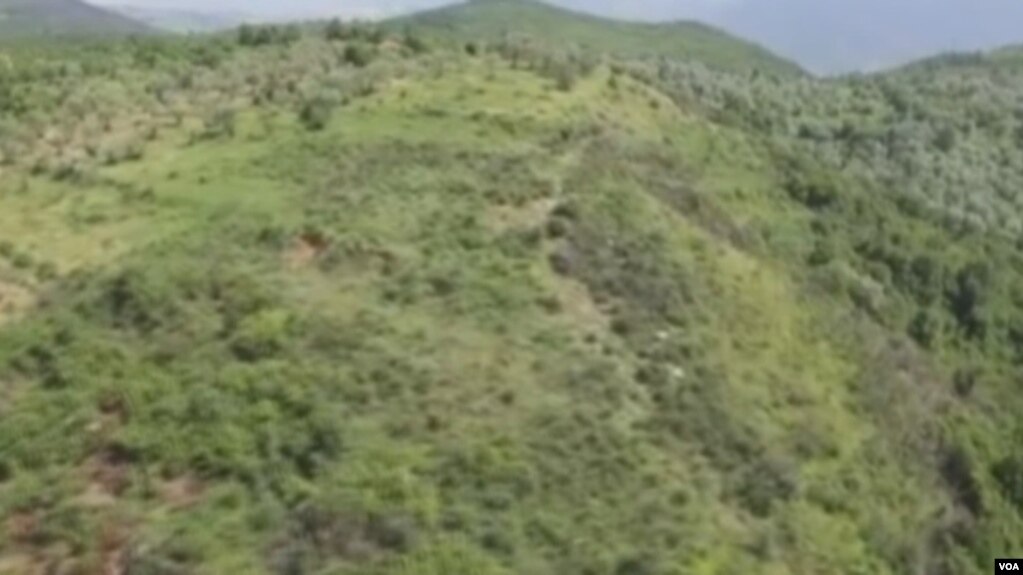 Shqipëri, rënie e fortë e kultivimit të marijuanës