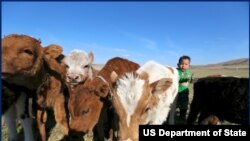The MCC and the Government of Mongolia worked together to provide leases and training to help avoid overgrazing and maximize land efficiency.