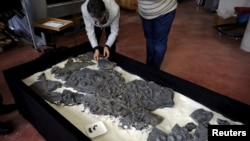 FILE - A fossil of an ichthyosaur is seen at the Jurassic Museum of Asturia in Colunga, northern Spain, Nov. 6, 2015. 