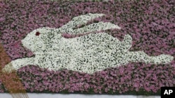 Customers look at a giant rabbit-shaped decoration made of white roses and lilies for the Chinese Spring Festival as part of Lunar New Year celebrations in Nanjing, Jiangsu province, China January 31, 2011.