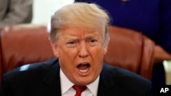 FILE - President Donald Trump speaks during a meeting in the Oval Office of the White House, in Washington, Jan. 31, 2019.