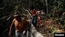 Warga suku Mura, penduduk asli hutan Amazon, Brazil, salah satu suku yang terkena dampak kebakaran hutan di sana. 