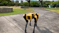 There are about 500 Spot robots in use. Perry said they are used by companies to inspect areas with dangerous levels of electricity. Spot is also used in building sites, mines and factories. Spot, a robotic Honolulu police dog, stands outside department headquarters on Friday May 14, 2021. (AP Photo/Jennifer Sinco Kelleher)