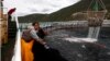 NOAA Plans to Open Federal Waters in Pacific to Fish Farming
