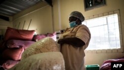 Virginia Ramuhuhu transporte des sacs de graines de fruits de baobab au siège du laboratoire Eco Products à Louis Trichardt, le 27 août 2018.