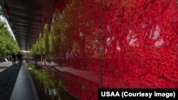 The Poppy Memorial is a clear wall that is 40 meters long, 2.5 tall, and filled with more than 645,000 poppy flowers -- honoring every man and woman that gave their life in service to the U.S. since World War I.