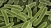 Scientists Fear 'Nightmare Bacteria'