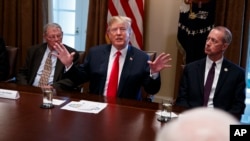 Presiden Donald Trump berbicara dalam rapat dengan anggota Kongres dari Partai Republik di Komite Imigrasi di Gedung Putih, Washington, 20 Juni 2018.