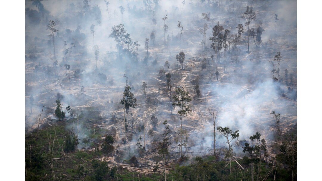 Asap menutupi hutan saat kebakaran di Kabupaten Kapuas dekat Palangka Raya di provinsi Kalimantan Tengah, 30 September 2019. (Foto: REUTERS/Willy Kurniawan)
