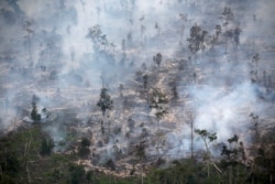 Asap menutupi hutan saat kebakaran di Kabupaten Kapuas dekat Palangka Raya di provinsi Kalimantan Tengah, 30 September 2019. (Foto: REUTERS/Willy Kurniawan)