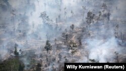 Asap menutupi hutan saat kebakaran di Kabupaten Kapuas dekat Palangka Raya di provinsi Kalimantan Tengah, 30 September 2019. (Foto: REUTERS/Willy Kurniawan)