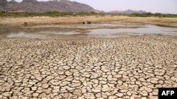 A general view of a lake running dry on a hot summer day near Ajmer on June 2, 2019. - Temperatures passed 50 degrees Celsius (122 Fahrenheit) in northern India as an unrelenting heatwave triggered warnings of water shortages and heatstroke. (Photo by Him