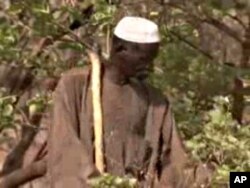 Burkinabe farmer Yacouba Sawadogo has raised a forest on what used to be barren land.
