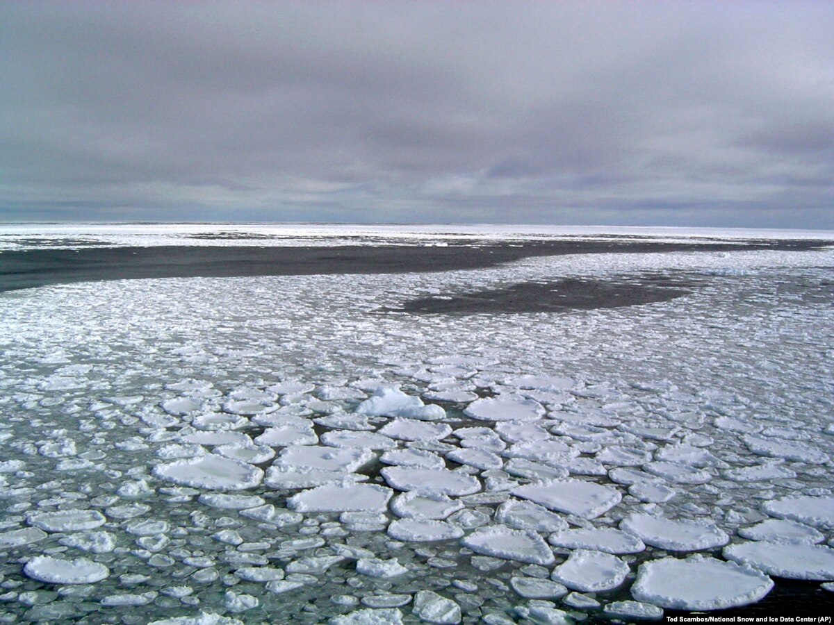 sea-ice-around-antarctica-shows-sharp-decrease