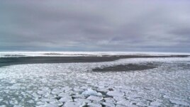 his January 2017 photo provided by Ted Scambos shows sea ice on the ocean surrounding Antarctica during an expedition to the Ross Sea.