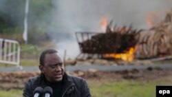 Le président kényan Uhuru Kenyatta prononce un discours après avoir incinéré une pile de défenses d'éléphants dans le parc national de Nairobi, Kenya, 30 avril 2016. epa / DAI Kurokawa