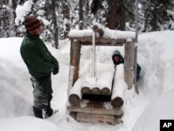 Wildlife biologists John Rohrer and Scott Fitkin check a wolverine trap in Washington’s North Cascades.