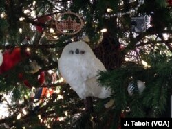 This snowy owl is one of many animals that decorate the giant Douglas fir tree at the U.S. Botanic Garden's holiday display.