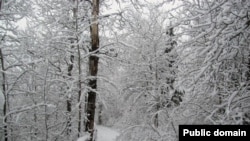 The start of a trail at Voyageurs National Park.