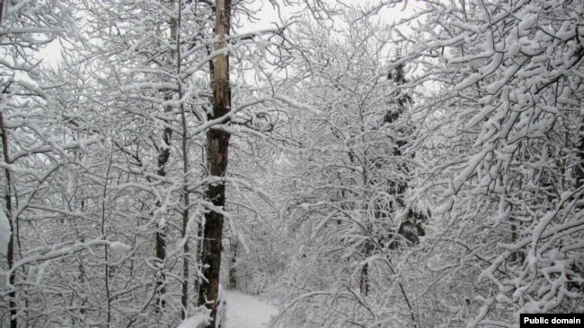 The start of a trail at Voyageurs National Park.