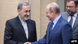 블라디미르 푸틴 러시아 대통령(오른쪽)이 12일 모스크바 관저에서 알리 아크바르 벨라야티 이란 외교담당 수석보좌관을 만나 악수하고 있다. 