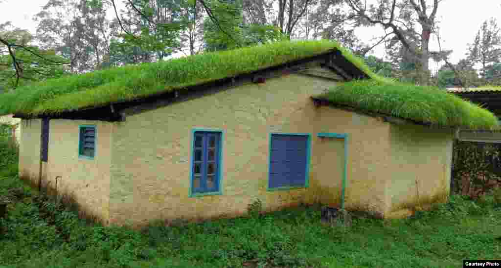 Rumah yang beratapkan rumput di dekat Painavu, distrik Idukki, India selatan (foto: Anand D/India). 