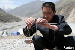 FILE - A local buyer weighs a pile of caterpillar fungus, also known as Cordyceps Sinensis, Laji mountains, Guide County, west China's Qinghai Province.