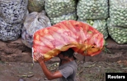FILE - A man carries a sack filled with maize at a wholesale vegetable market in the western Indian city of Ahmedabad, Aug. 14, 2012.