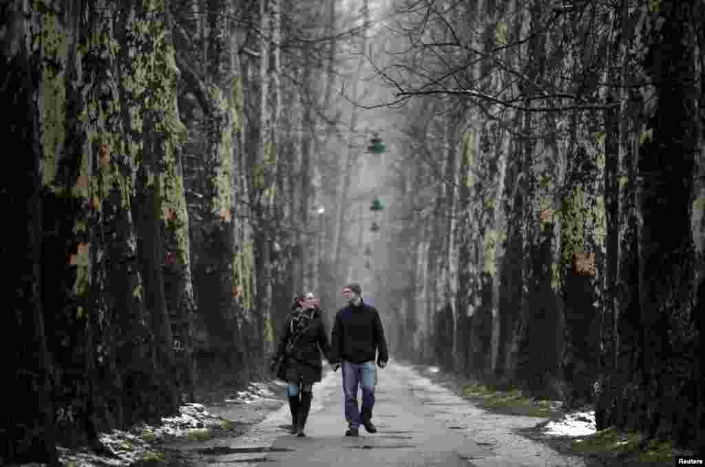 在波斯尼亞與黑塞哥維那的薩拉熱窩市，一對伴侶在情人節這天攜手走在林蔭道上。