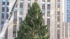 Pohon Natal Setinggi 22 Meter Sudah Dipasang di kota New York