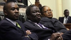 Zimbabwe To Vote On A New Constitution