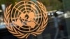ООН и ГУАМ укрепляют сотрудничество