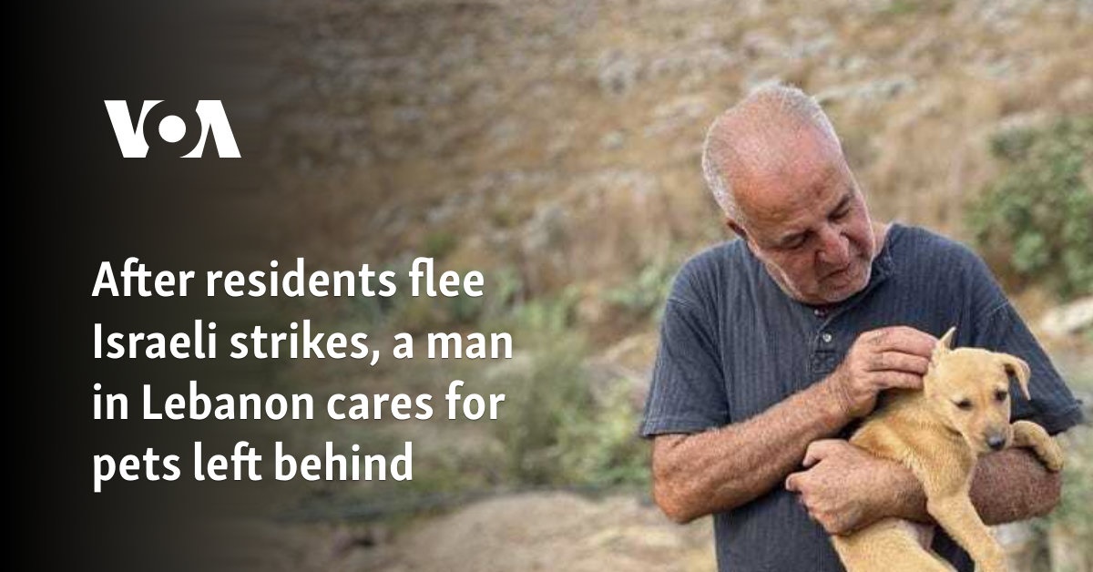 After residents flee Israeli strikes, a man in Lebanon cares for pets left behind