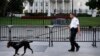 Accused White House Intruder Faces New Charges