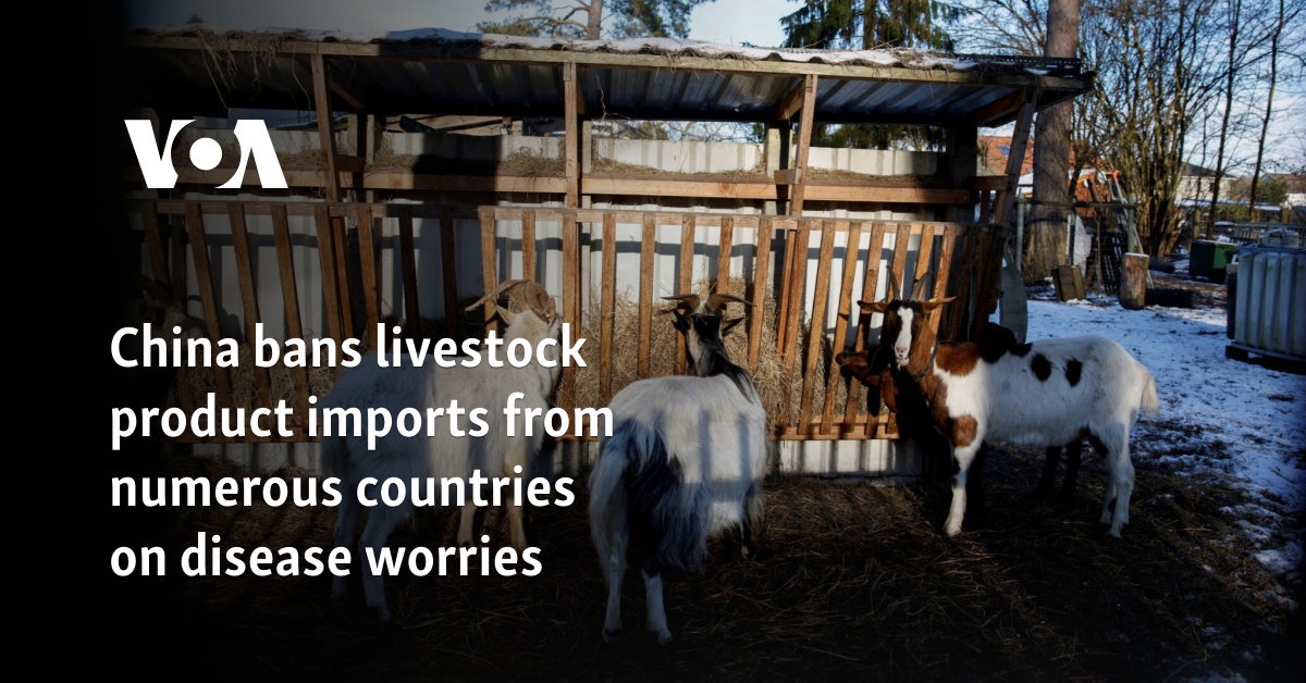 China bans livestock product imports from numerous countries on disease worries