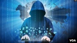 Fighting Cybercrime 