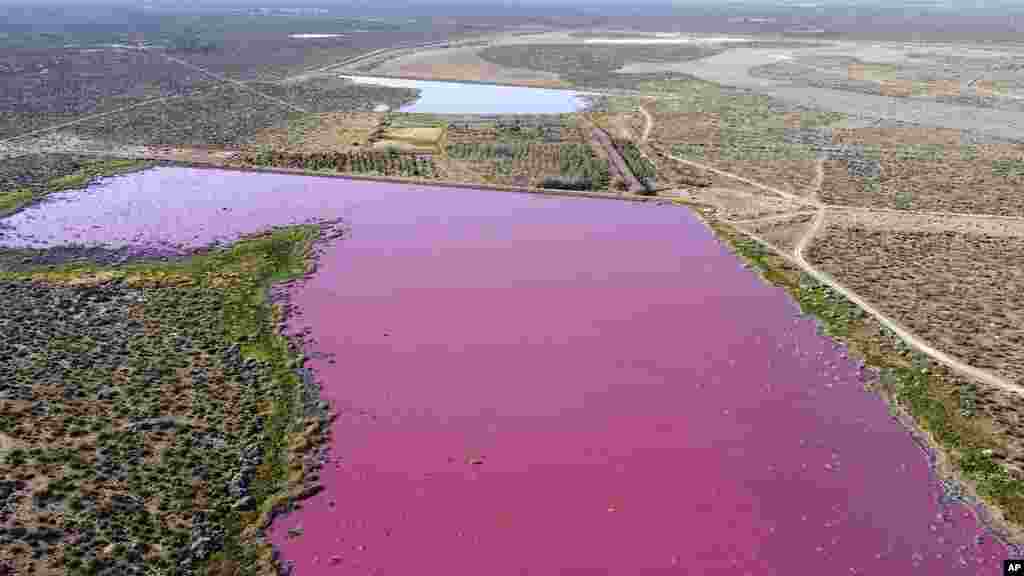 Air di laguna Corfo berwarna merah muda di Trelew, provinsi Chubut, Argentina. Aktivis lingkungan mengaitkan warna tersebut dengan polusi limbah dari kawasan industri di dekatnya. (Foto AP/Daniel Feldman)